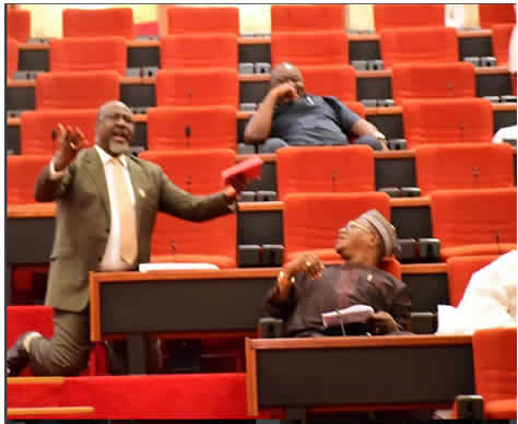 Dino Melaye