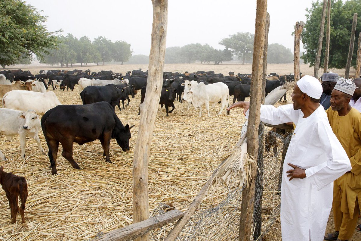 buhari on farm