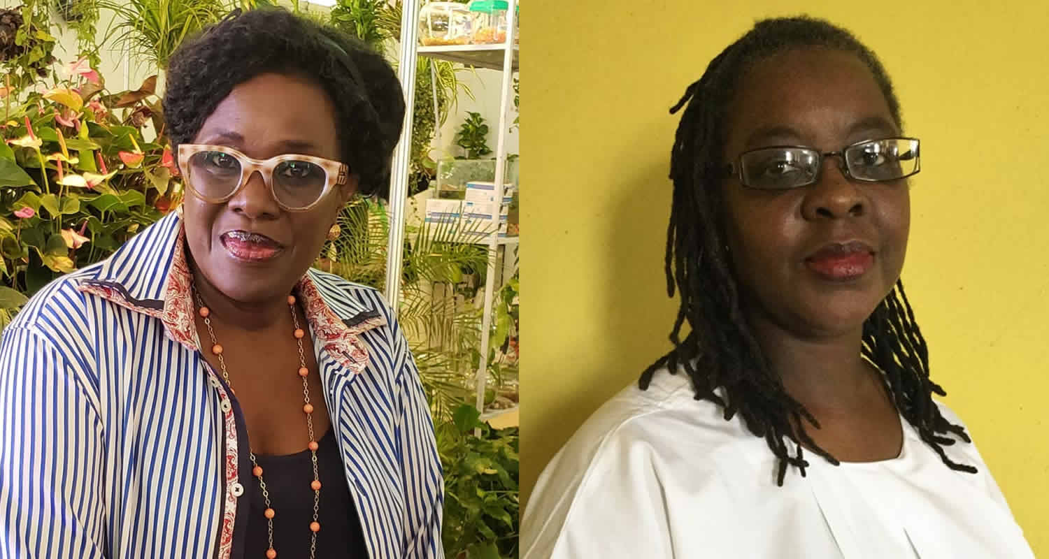 Joke Silva and Bisi Silva