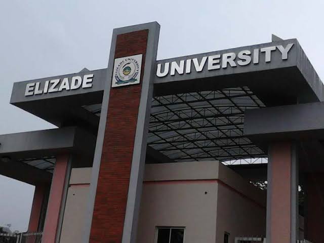  Elizade University