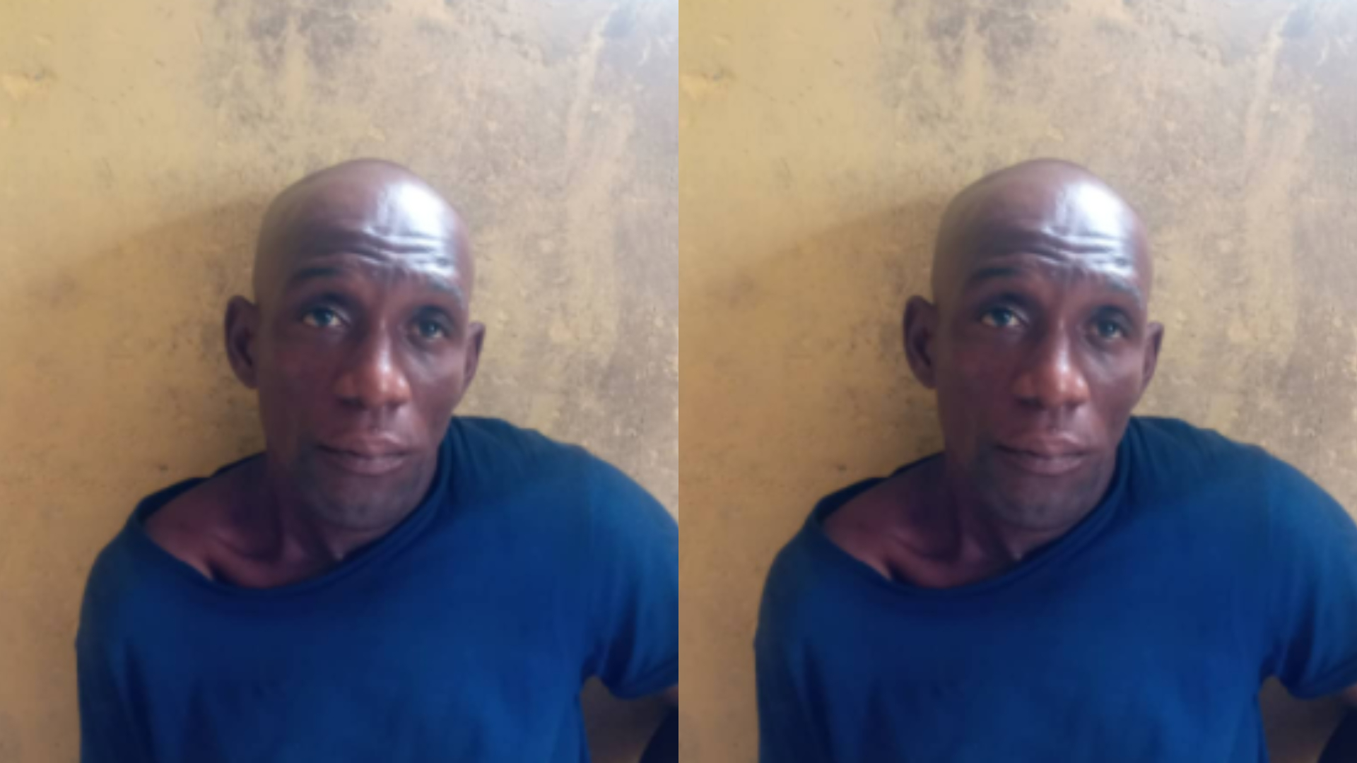 Police apprehend Ogun resident who shot co-tenant