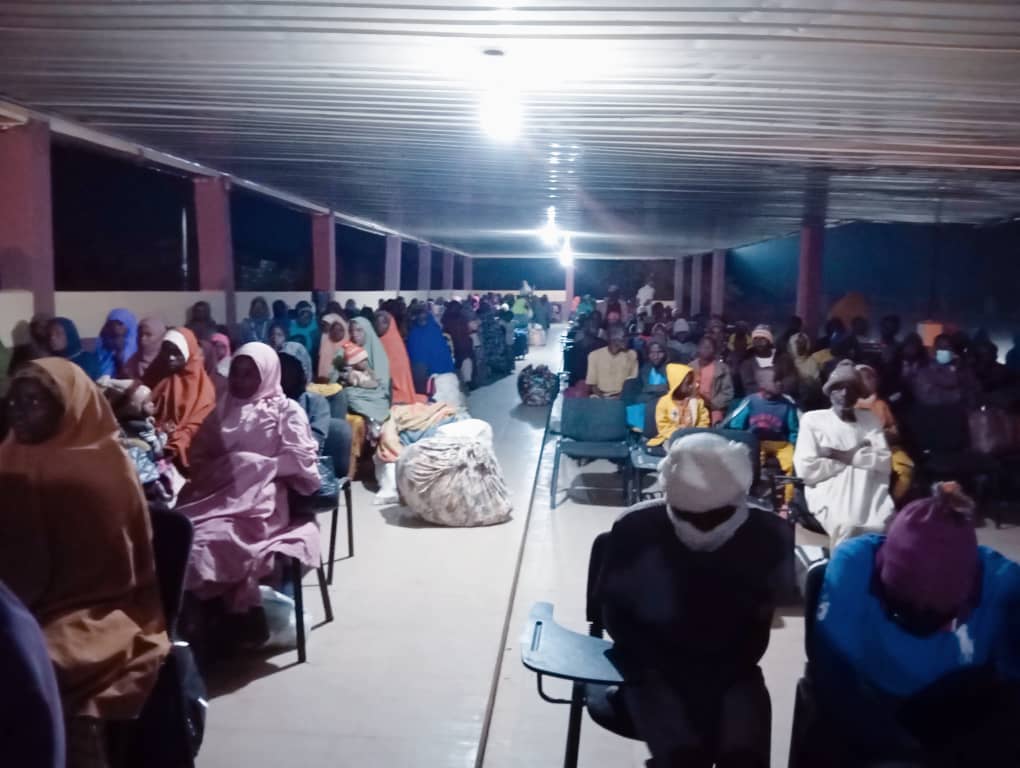 Niger Republic repatriates 310 Nigerians