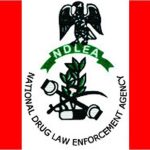 NDLEA re-arrests drug suspect declared dead by wife