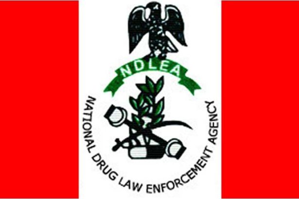 NDLEA re-arrests drug suspect declared dead by wife