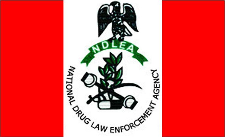NDLEA re-arrests drug suspect declared dead by wife